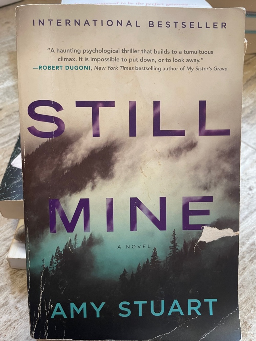 Still Mine softcover book by Amy Stuart